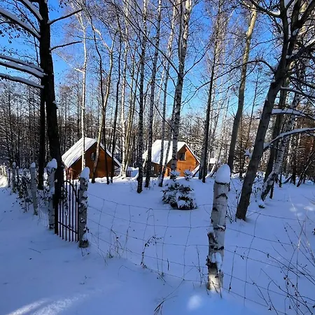 Hotell Lorien - Wynajem Domkow Letniskowych 2.0 Roczyny