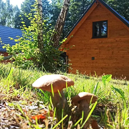 Hotell Lorien - Wynajem Domkow Letniskowych 2.0 3*