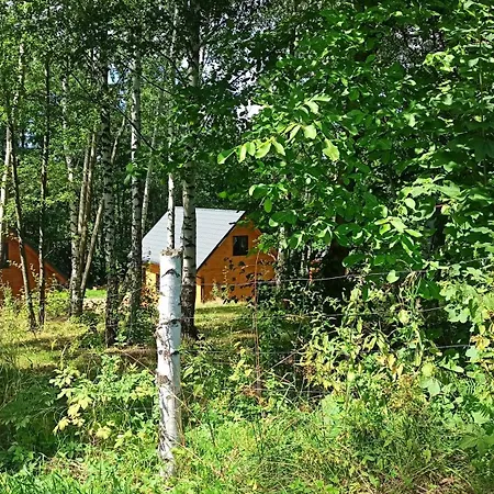 Lorien - Wynajem Domkow Letniskowych 2.0 3* Roczyny